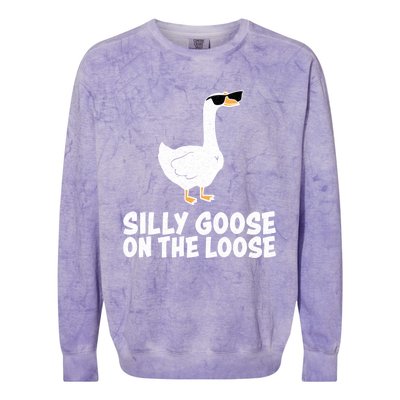 Silly Goose On The Loose Colorblast Crewneck Sweatshirt