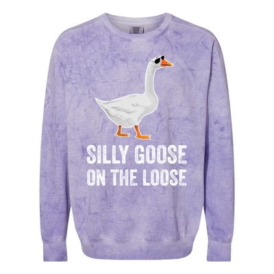 Silly Goose On The Loose Funny Goose Colorblast Crewneck Sweatshirt