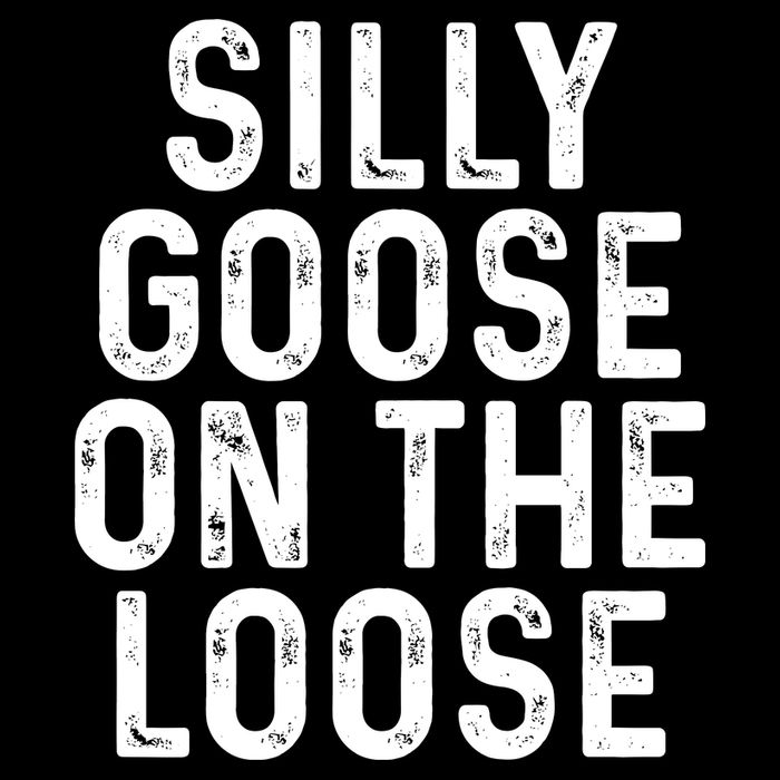 Silly Goose On The Loose Visor