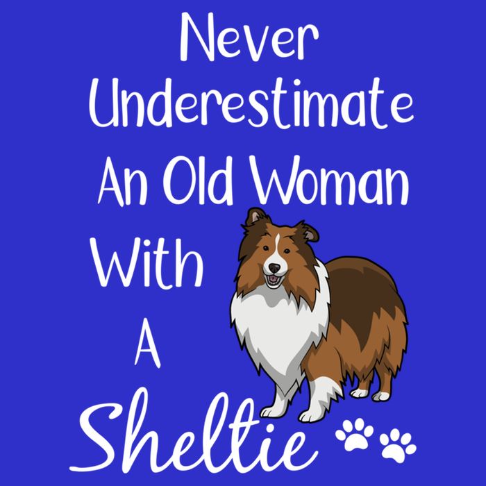 Sheltie Gift Old And Sheltie Funny Sheltie Mom Cool Gift Premium T-Shirt