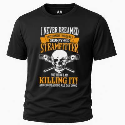 Steamfitter Grumpy Old Pipefitter Tradesman Plumber Pipe Performance Shirt