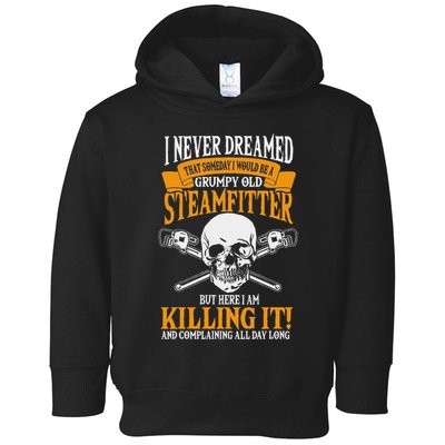Steamfitter Grumpy Old Pipefitter Tradesman Plumber Pipe Toddler Hoodie