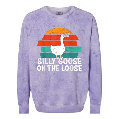 Silly Goose On The Loose Vintage Tee Cool Gift Colorblast Crewneck Sweatshirt