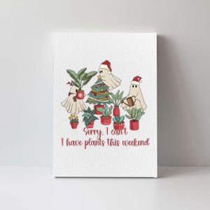 Santa Ghost Plant Christmas Plant Lady Canvas