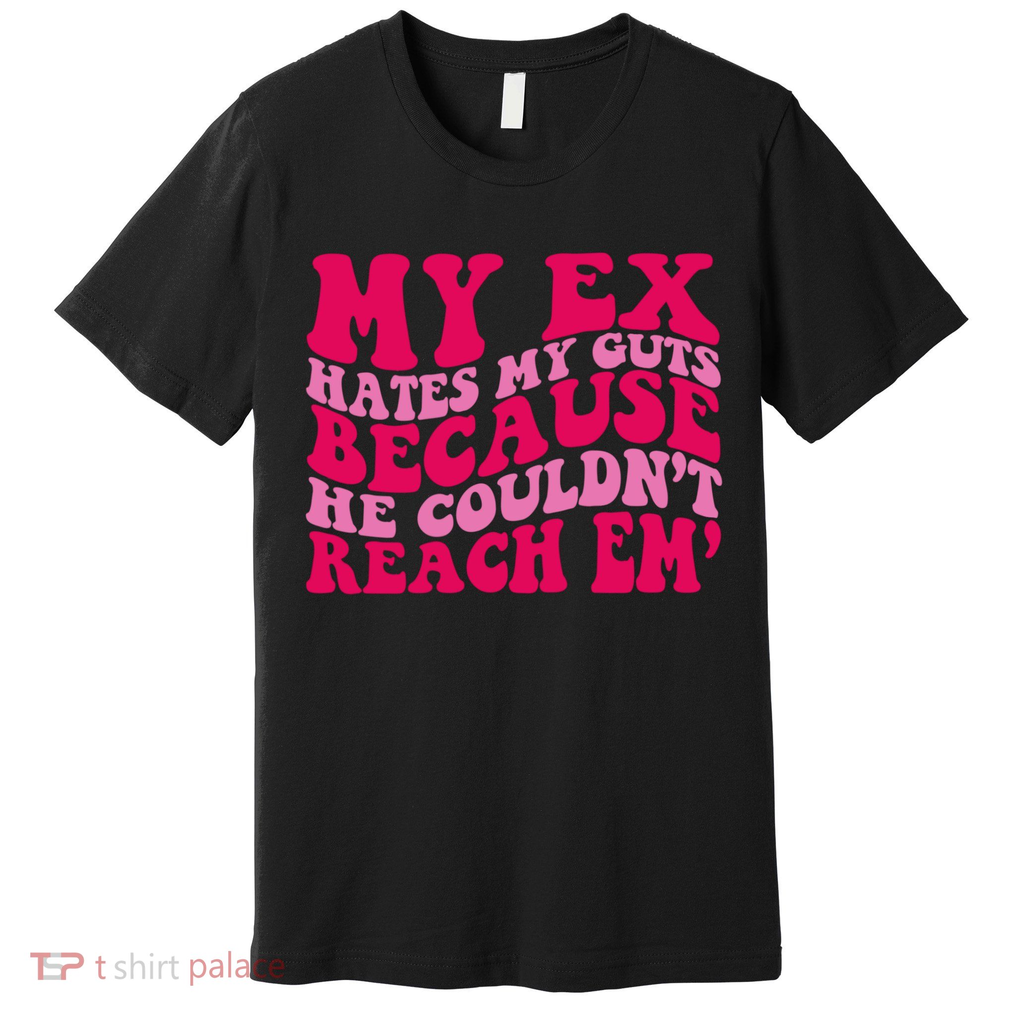 Sarcasm Groovy Quotes My Ex Hates My Guts Because He Couldn't Reach Em Premium T-Shirt