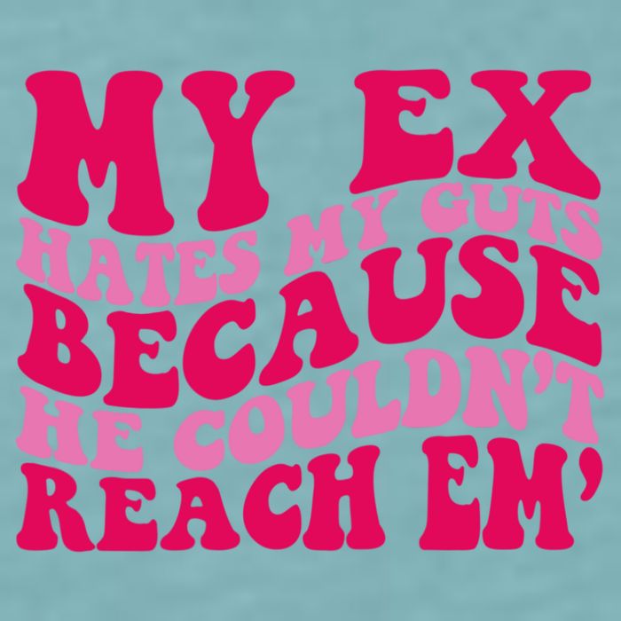 Sarcasm Groovy Quotes My Ex Hates My Guts Because He Couldn't Reach Em Sueded Cloud Jersey T-Shirt