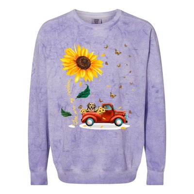 Sunflower Golden Retriever Head Funny Dog Colorblast Crewneck Sweatshirt