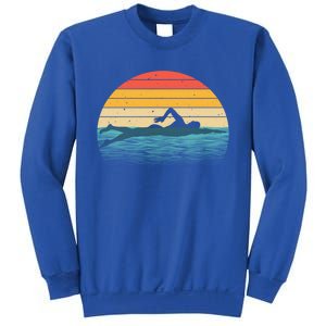 Swimming Gift Swimmer Swim Coach Gift Sweatshirt