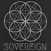 Sacred Geometry Sovereign Seed Flower Of Life 11oz C Handle Ceramic Mug