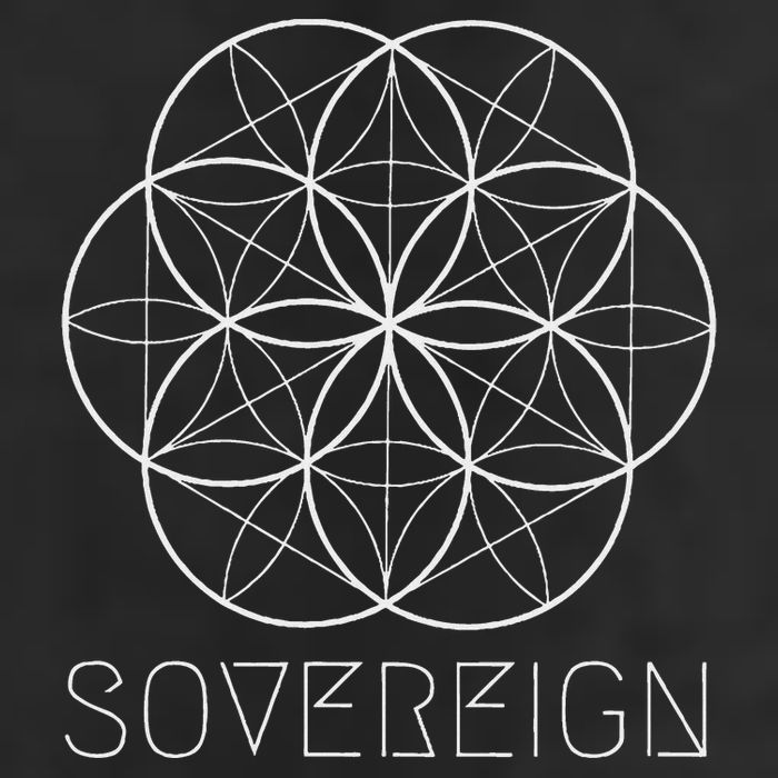 Sacred Geometry Sovereign Seed Flower Of Life 11oz C Handle Ceramic Mug