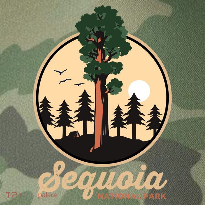 Sequoia General Sher Tree Camping Sequoia National Park Cute Gift Legacy Tie Dye Trucker Hat
