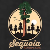 Sequoia General Sher Tree Camping Sequoia National Park Cute Gift 11oz C Handle Ceramic Mug