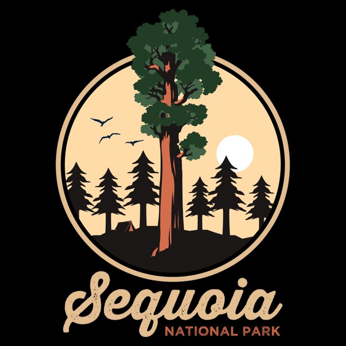 Sequoia General Sher Tree Camping Sequoia National Park Cute Gift Drawstring Bag