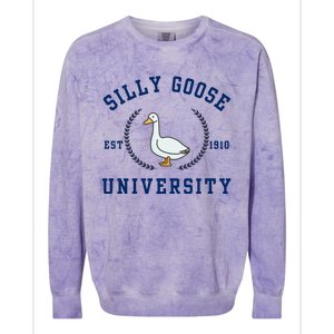 Silly Goose University Colorblast Crewneck Sweatshirt