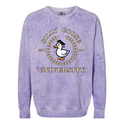 Silly Goose University Gift Colorblast Crewneck Sweatshirt