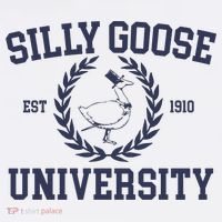 Silly Goose University Funny Silly Goose Meme Bird Lover Youth Performance Sprint T-Shirt
