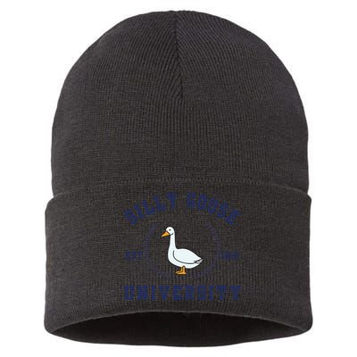 Silly Goose University Sustainable Knit Beanie