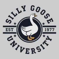 Silly Goose U.N.I.V.E.R.S.I.T.Y Tie-Dye T-Shirt