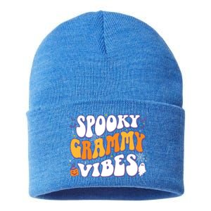 Spooky Grammy Vibes Halloween Gift Sustainable Knit Beanie