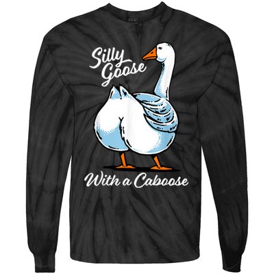 Silly Goose With A Caboose Funny Tie-Dye Long Sleeve Shirt