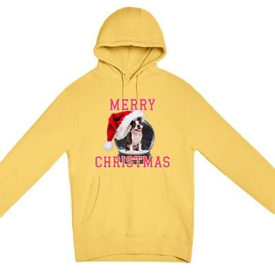 Snow Globe Xmas French Bulldog Christmas Premium Pullover Hoodie