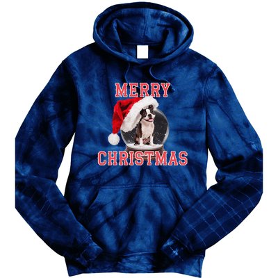 Snow Globe Xmas French Bulldog Christmas Tie Dye Hoodie