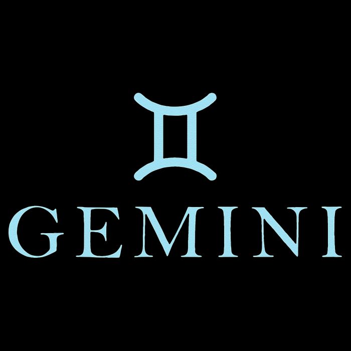 Sign Gemini Zodiac 16 in Basic Backpack