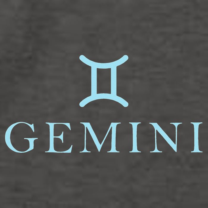 Sign Gemini Zodiac Vector Backpack