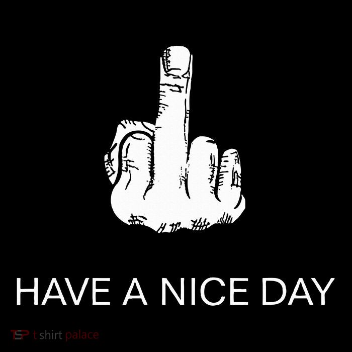 Sarcastic Have A Nice Day Middle Finger Funny Flatbill Hat