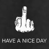 Sarcastic Have A Nice Day Middle Finger Funny Hat