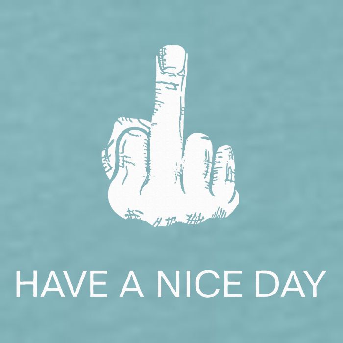 Sarcastic Have A Nice Day Middle Finger Funny Sueded Cloud Jersey T-Shirt