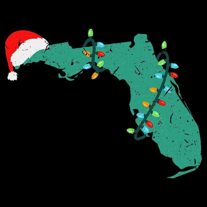 Santa Hat And Lights State Outline Christmas In Florida 16 in Basic Backpack