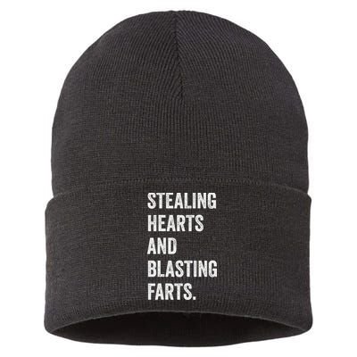Stealing Hearts And Blasting Farts Retro Vintage Sustainable Knit Beanie