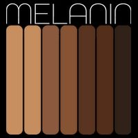 Shades Of Melanin T-Shirt