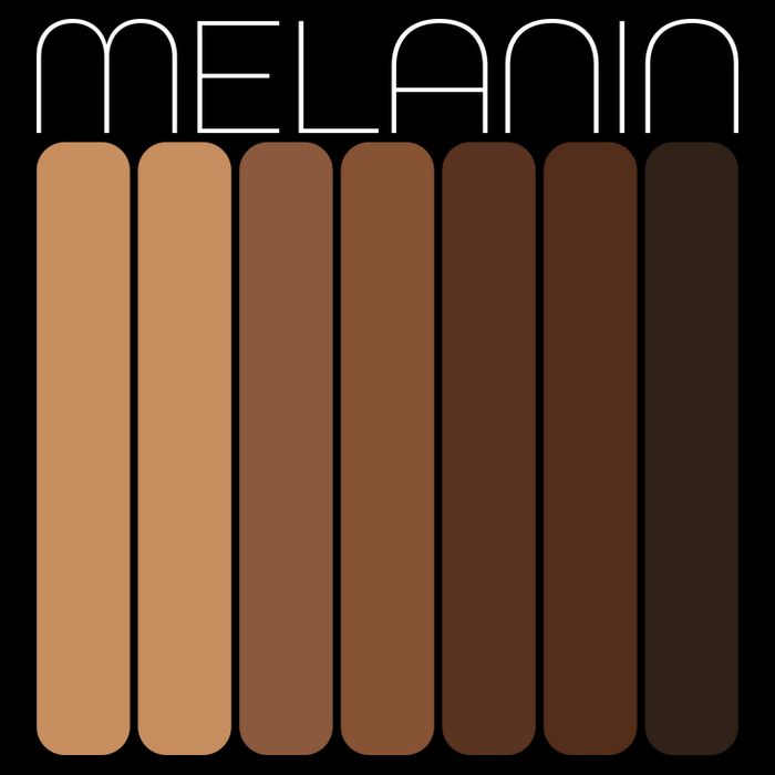 Shades Of Melanin 16 in Basic Backpack