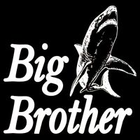 Shark Big Brother Logo Wool Snapback Cap