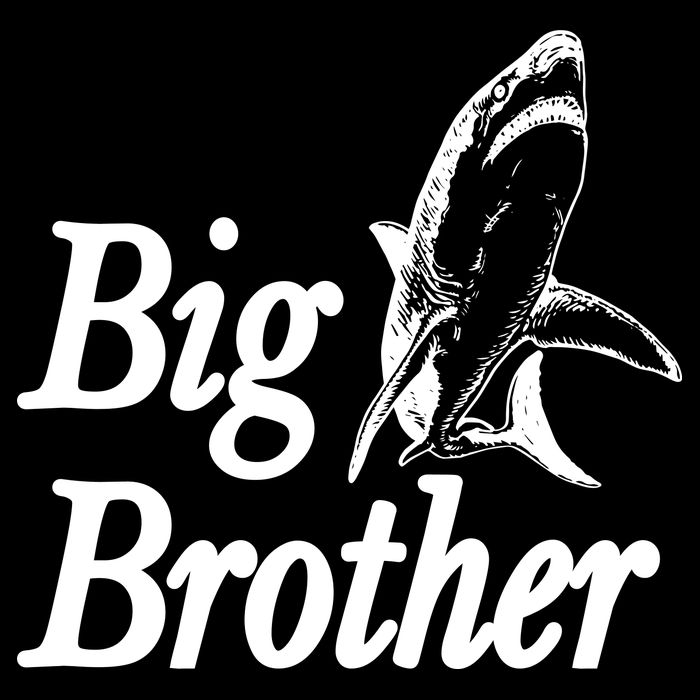 Shark Big Brother Logo Wool Snapback Cap
