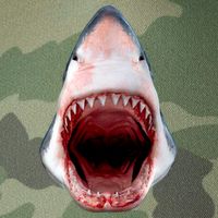 Shark Bite Close Up 3D Legacy Tie Dye Trucker Hat