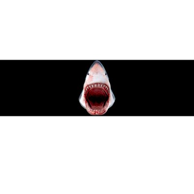 Shark Bite Close Up 3D Bumper Sticker