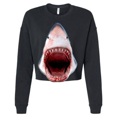 Shark Bite Close Up 3D Cropped Pullover Crew