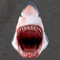Shark Bite Close Up 3D Vector Backpack