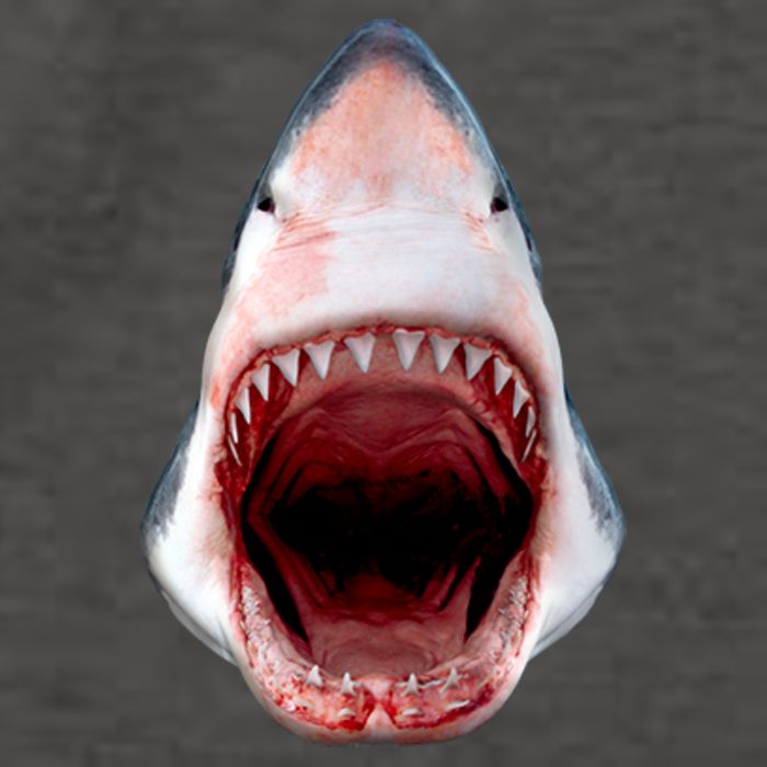 Shark Bite Close Up 3D Vector Backpack