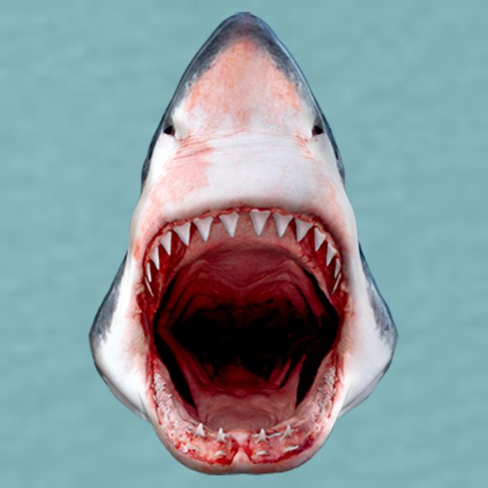 Shark Bite Close Up 3D Sueded Cloud Jersey T-Shirt