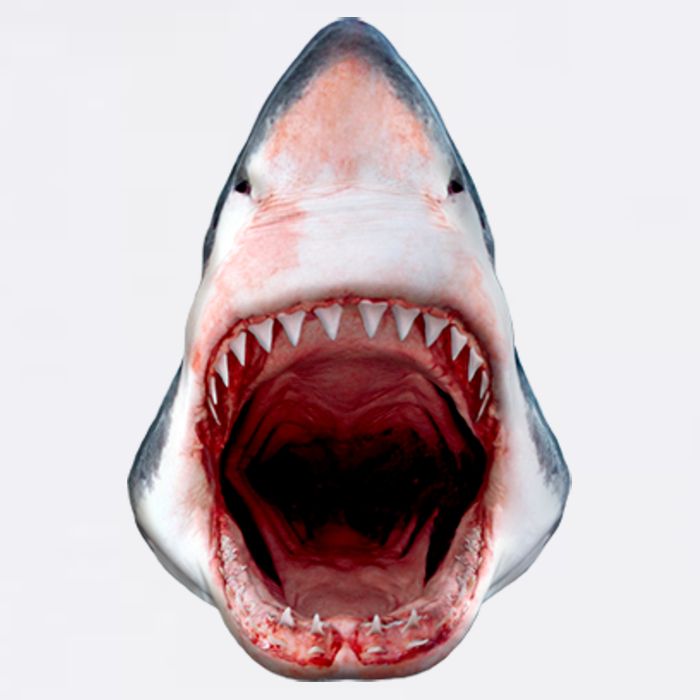 Shark Bite Close Up 3D Garment-Dyed Sweatshirt