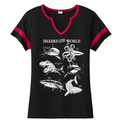 Sharks Of The World Ladies Halftime Notch Neck Tee