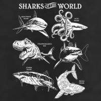 Sharks Of The World 15oz Campfire Ceramic Mug