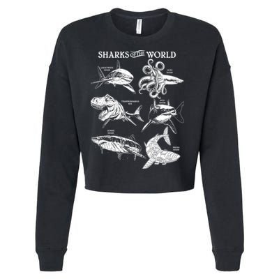Sharks Of The World Cropped Pullover Crew