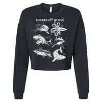 Sharks Of The World Cropped Pullover Crew