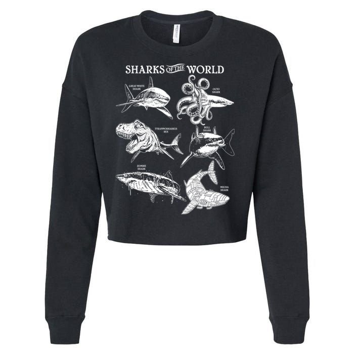 Sharks Of The World Cropped Pullover Crew