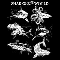 Sharks Of The World Cropped Pullover Crew